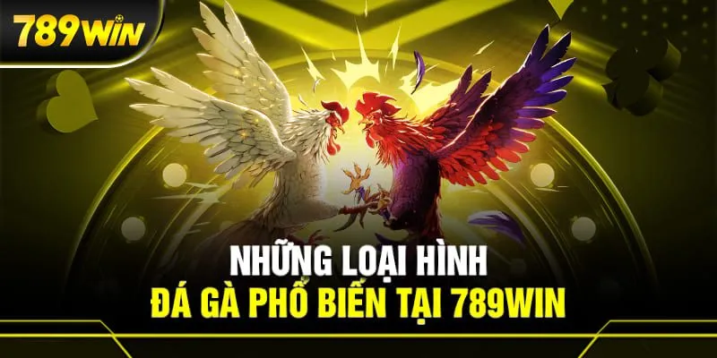 Hình thức đá gà kết hợp cựa dao hấp dẫn tại 789win