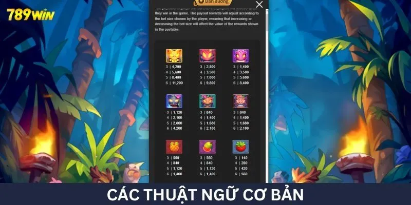 Các thuật ngữ cơ bản 