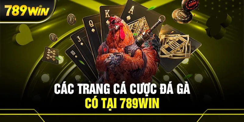 Đặt cược đá gà 789win dễ dàng chỉ với 4 bước