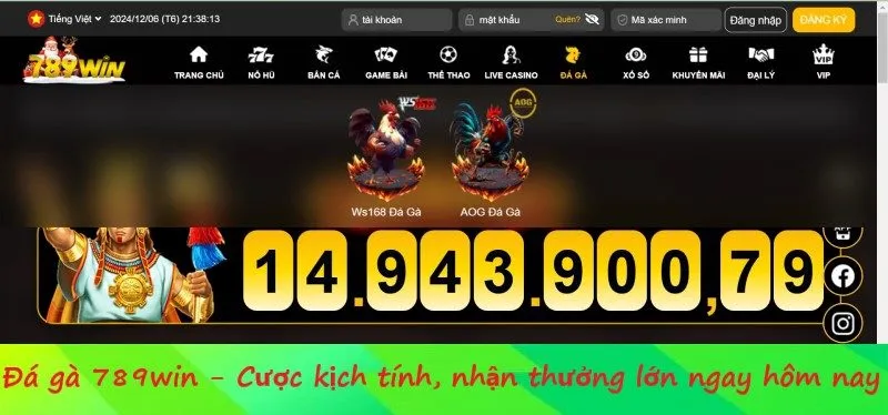 Kinh nghiệm cần nhớ khi tham gia đá gà tại 789win