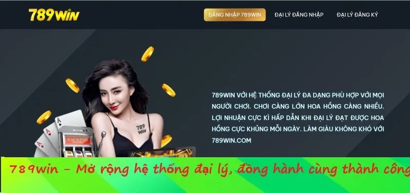 Hợp tác cùng nhiều đối tác uy tín hàng đầu