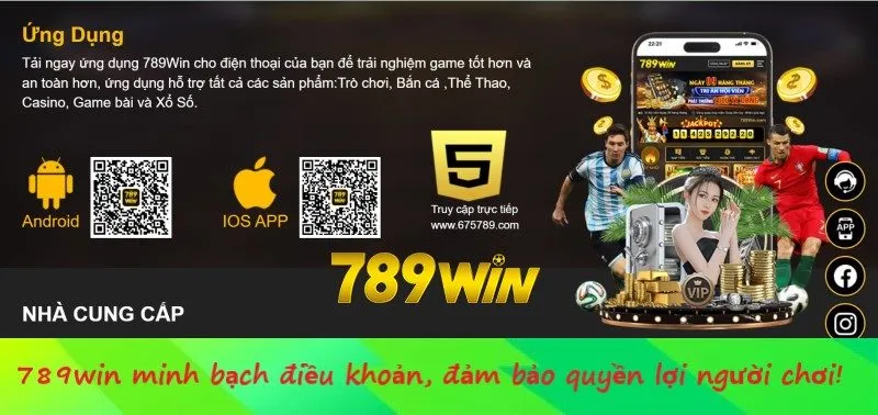 Các Điều Khoản Về Tiền Gửi Tại 789win