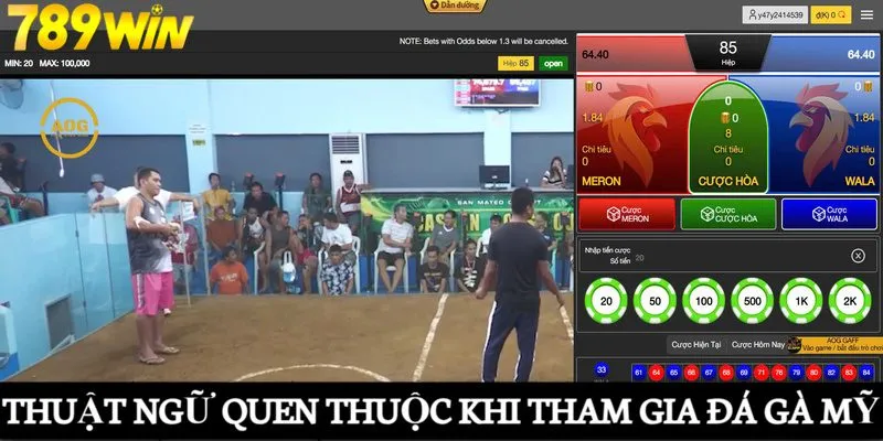 Thuật ngữ quen thuộc khi tham gia đá gà Mỹ 