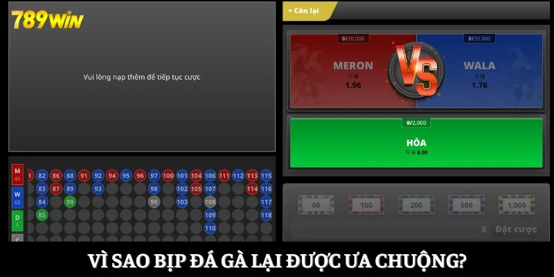 Vì sao bịp đá gà lại được ưa chuộng?