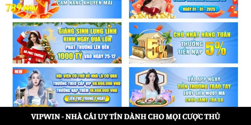 Vipwin - nhà cái uy tín dành cho mọi cược thủ