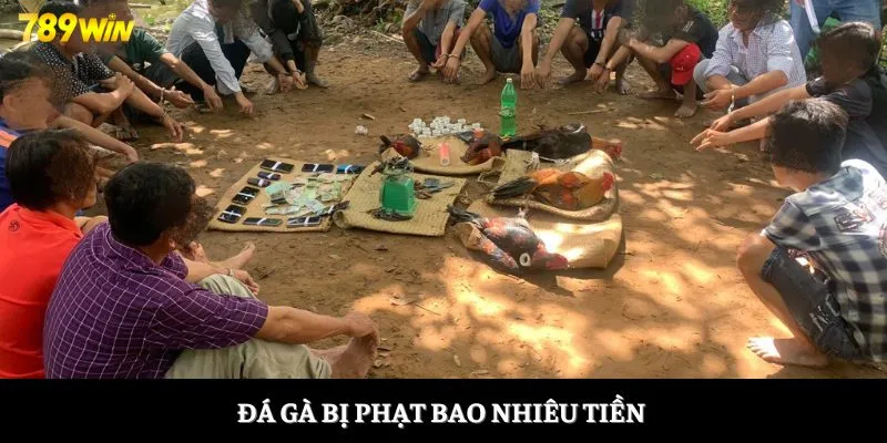 Đá gà bị phạt bao nhiêu tiền 