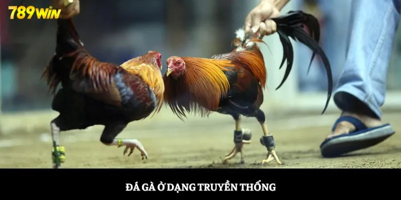 Đá gà ở dạng truyền thống