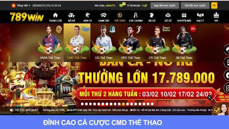 CMD Thể Thao: Đỉnh Cao Nhất Của Cá Cược Nhận Tiền Thưởng