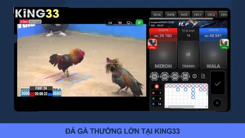 King33 đá gà thưởng lớn