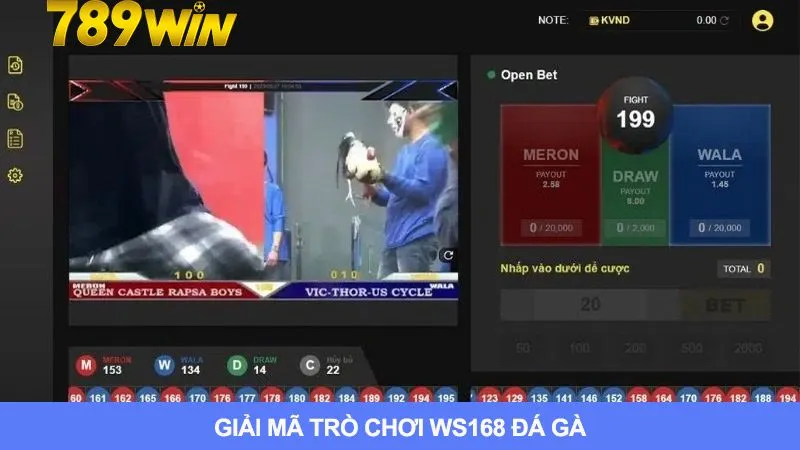 Thông tin cơ bản về Ws168 đá gà