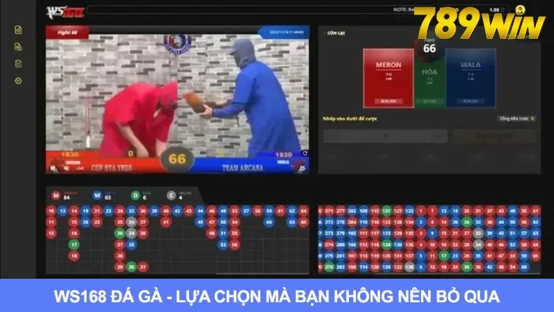 Ws168 Đá Gà: Lựa Chọn Mà Kê Thủ Tuyệt Đối Không Nên Bỏ Qua